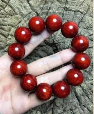 news-330-403 news-330-403